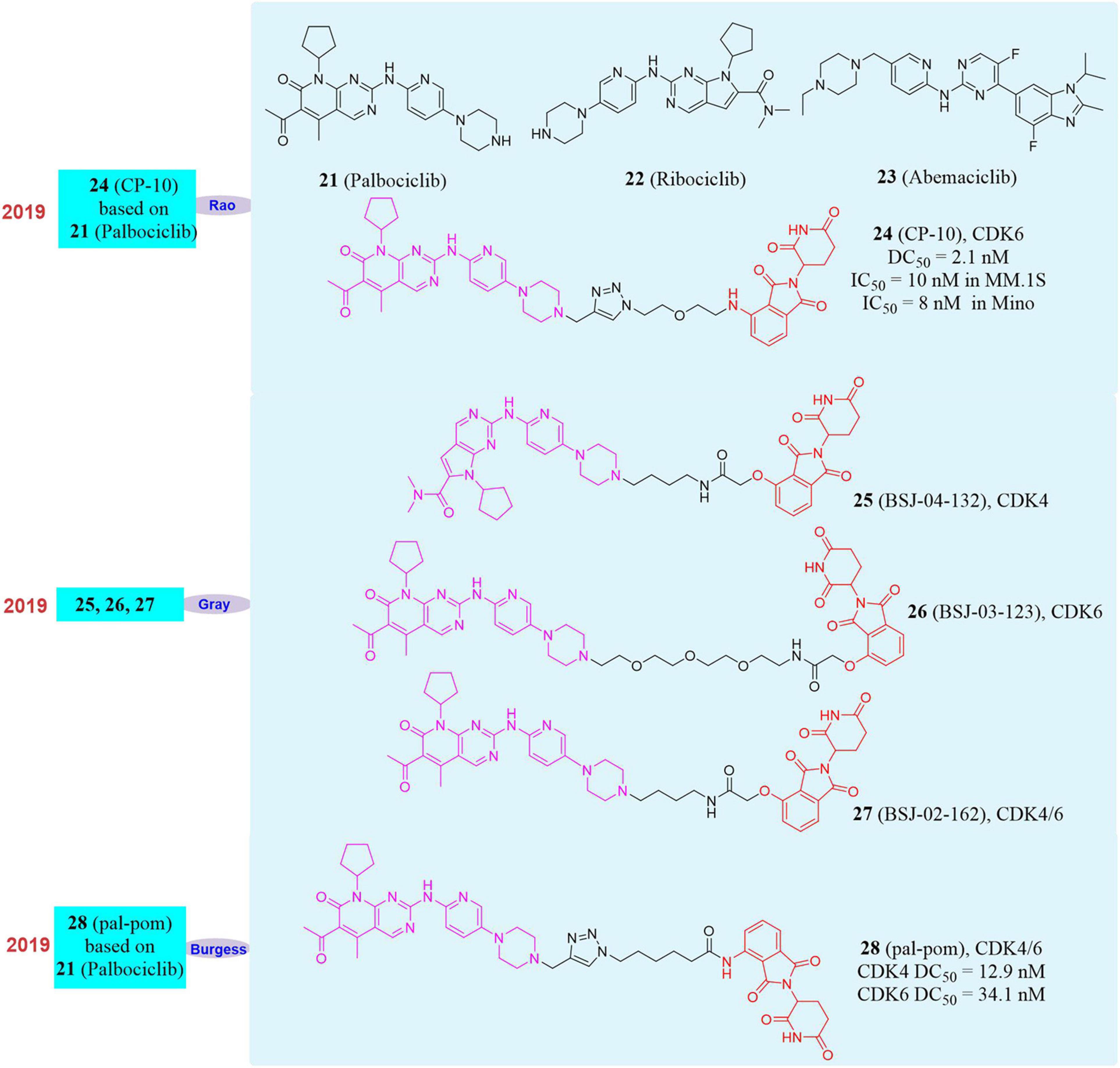 Frontiers | Opportunities and Challenges of Small Molecule Induced 