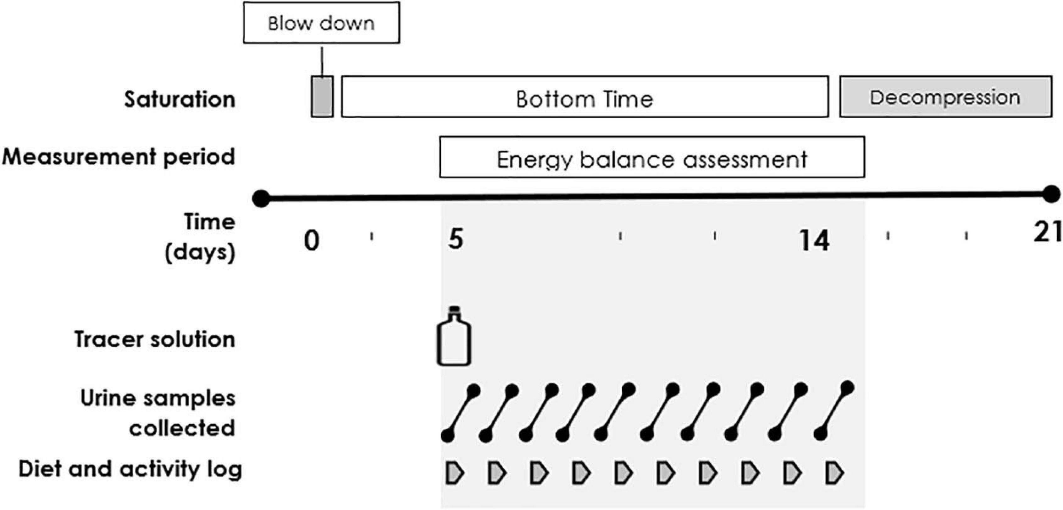 Assessing Energy Requirements, Energy Balance and Energy Availability