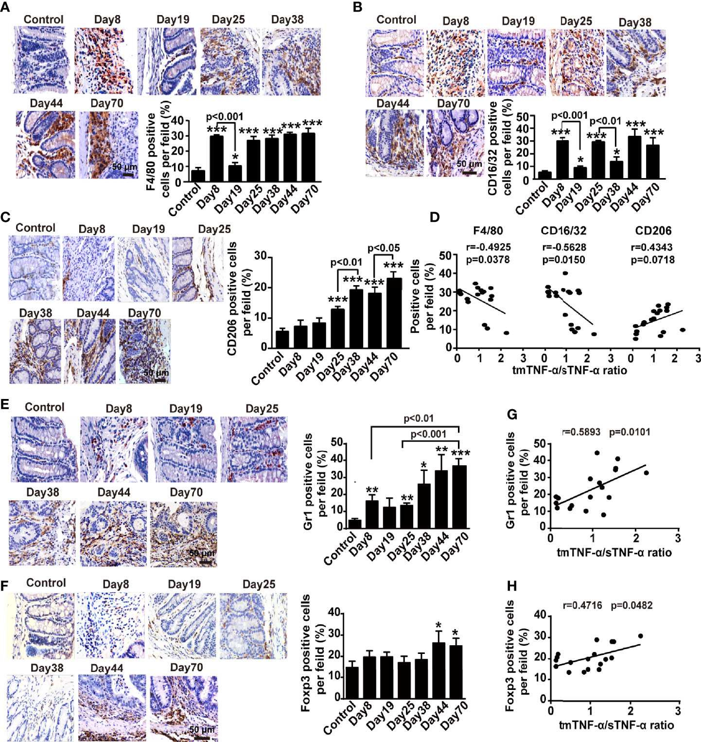 Frontiers | Suppression Of Transmembrane Tumor Necrosis Factor Alpha ...