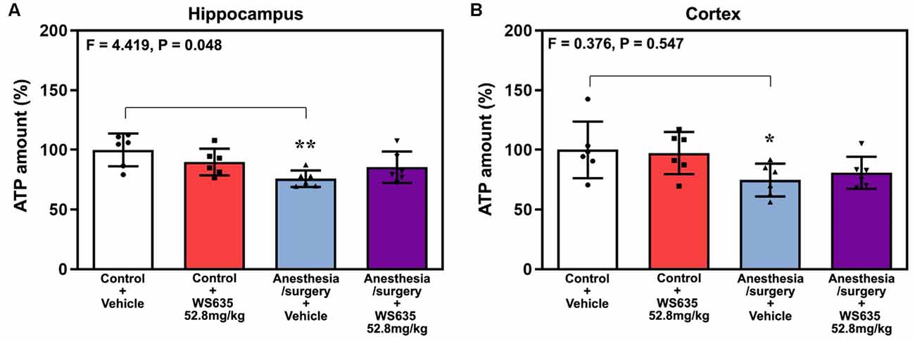 Frontiers | WS635 Attenuates the Anesthesia/Surgery-Induced 