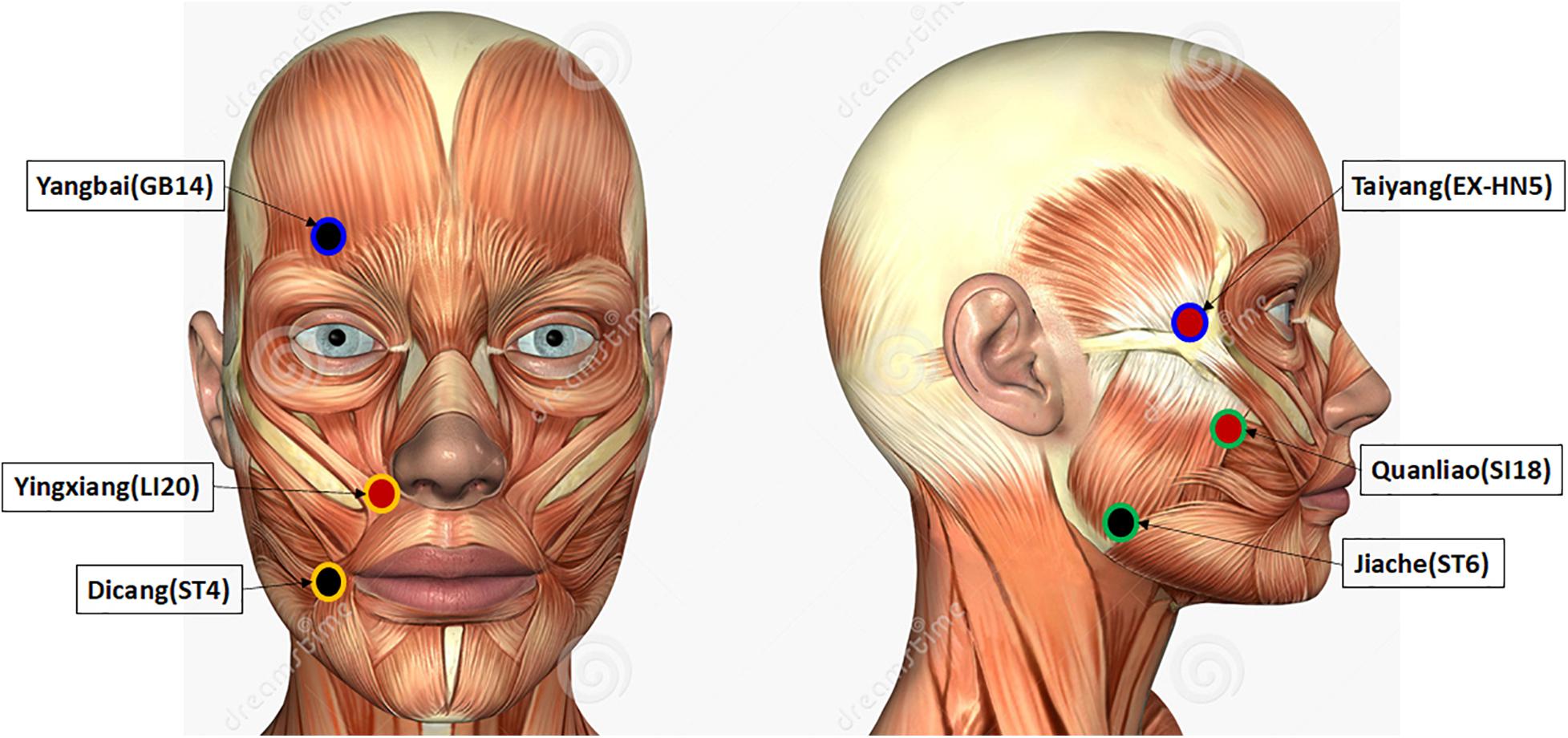 Key Pearls for Managing a Facial Nerve Palsy Patient - American