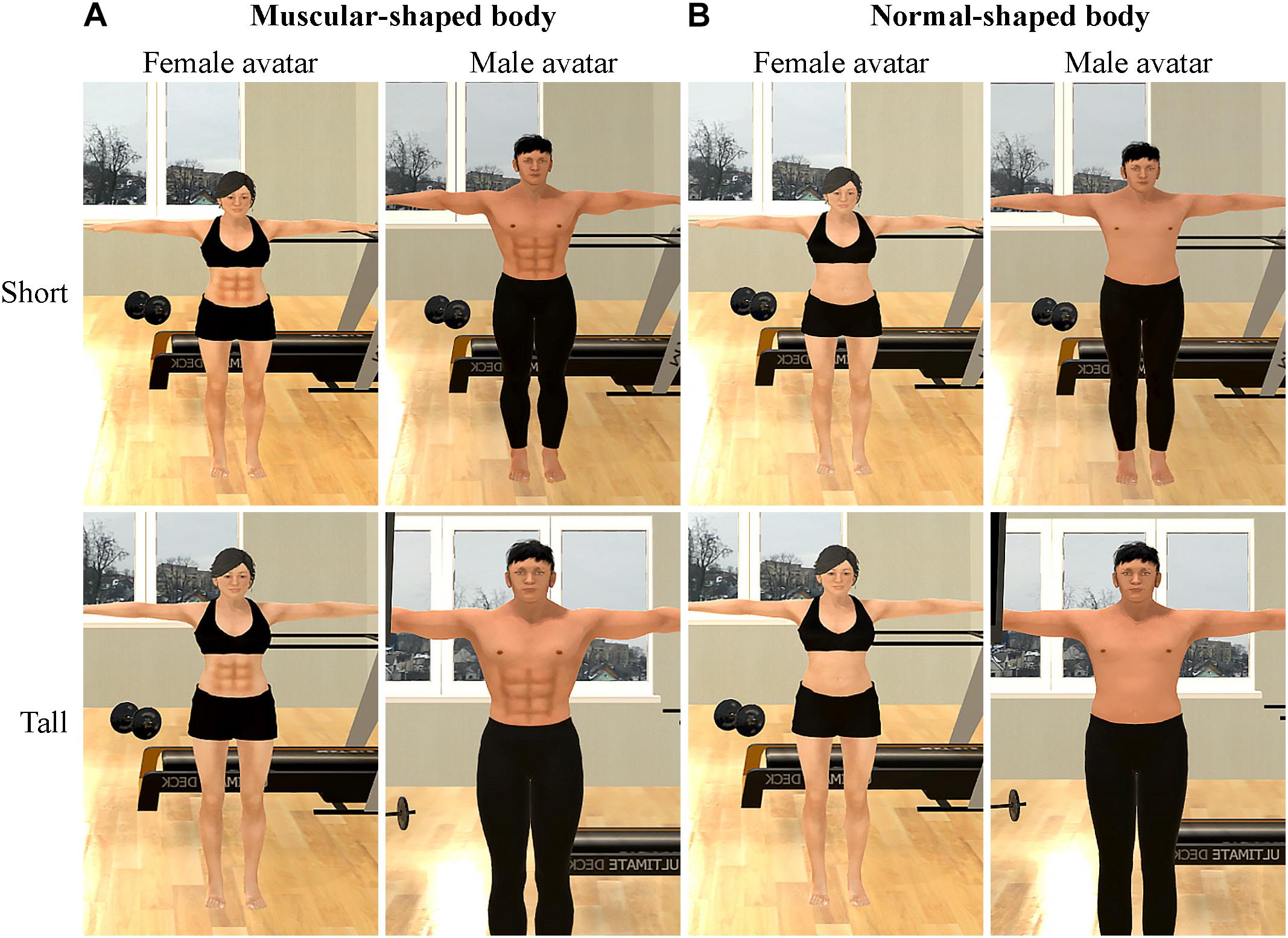 Frontiers  Exercising With a Six Pack in Virtual Reality: Examining the  Proteus Effect of Avatar Body Shape and Sex on Self-Efficacy for Core-Muscle  Exercise, Self-Concept of Body Shape, and Actual Physical