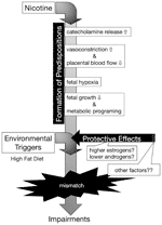 Frontiers | Prenatal Nicotine Exposure Induces Low Birthweight and ...