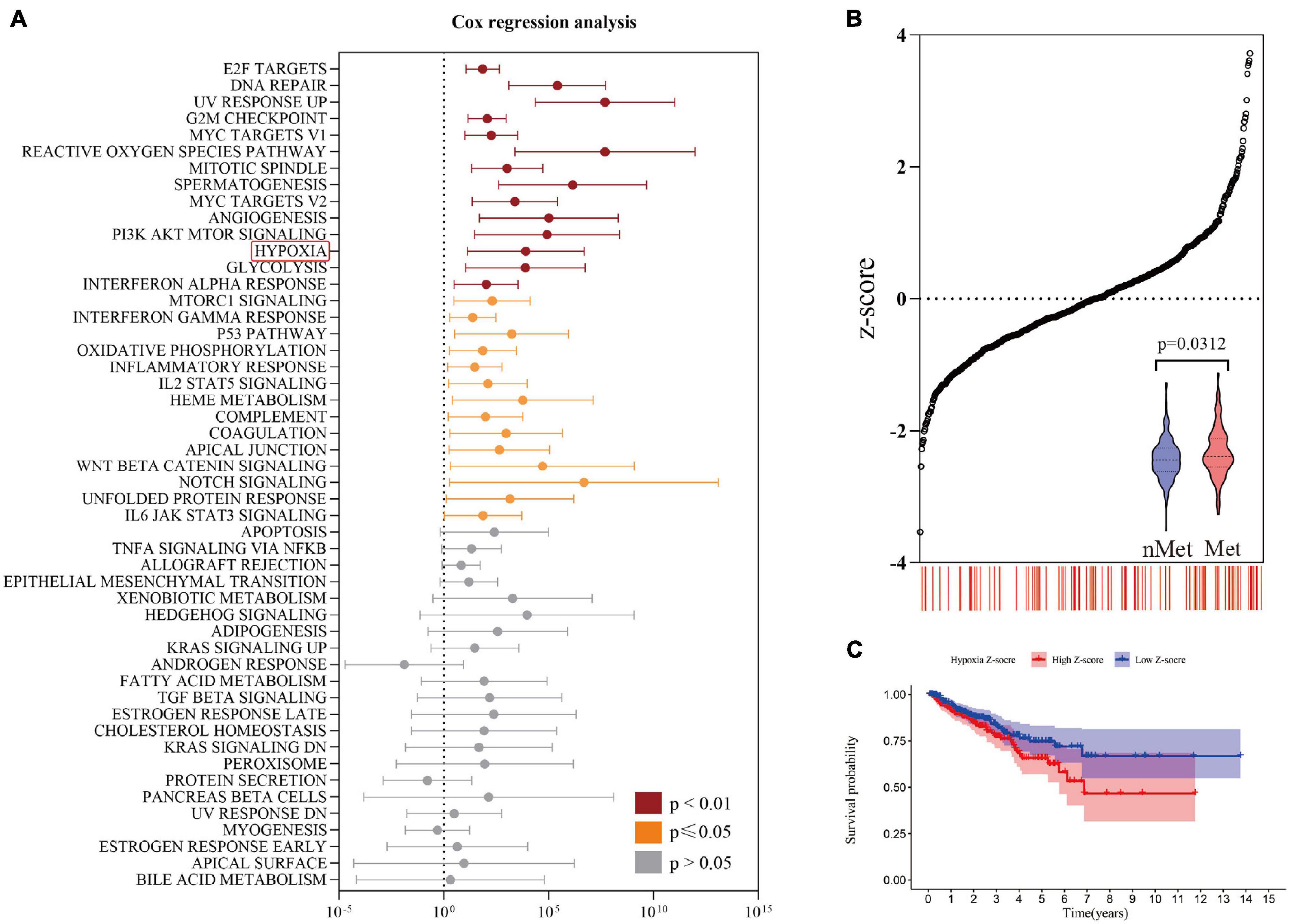 Frontiers | Identification Of A Hypoxia-Related Gene Signature For ...