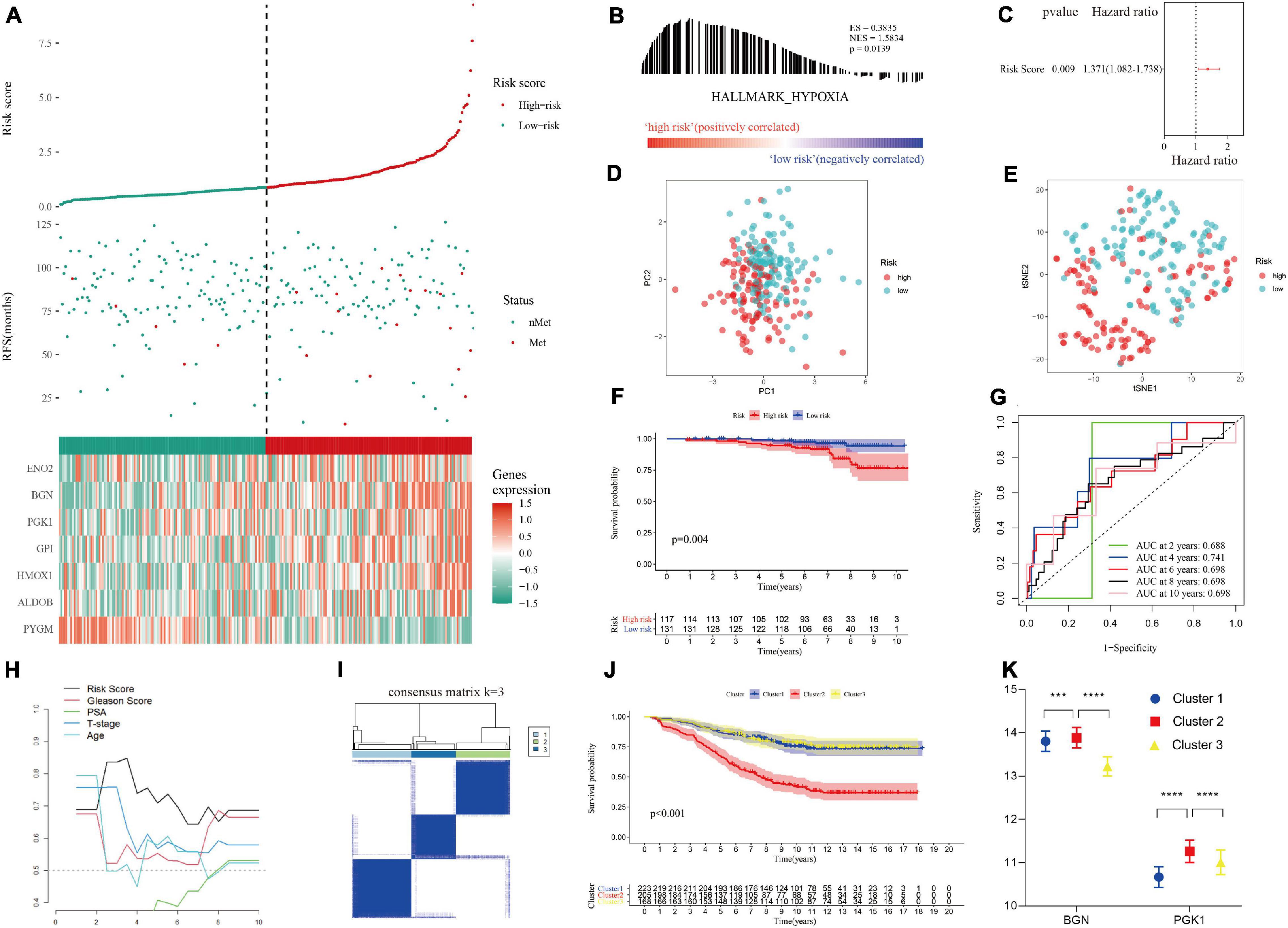 Frontiers | Identification Of A Hypoxia-Related Gene Signature For ...