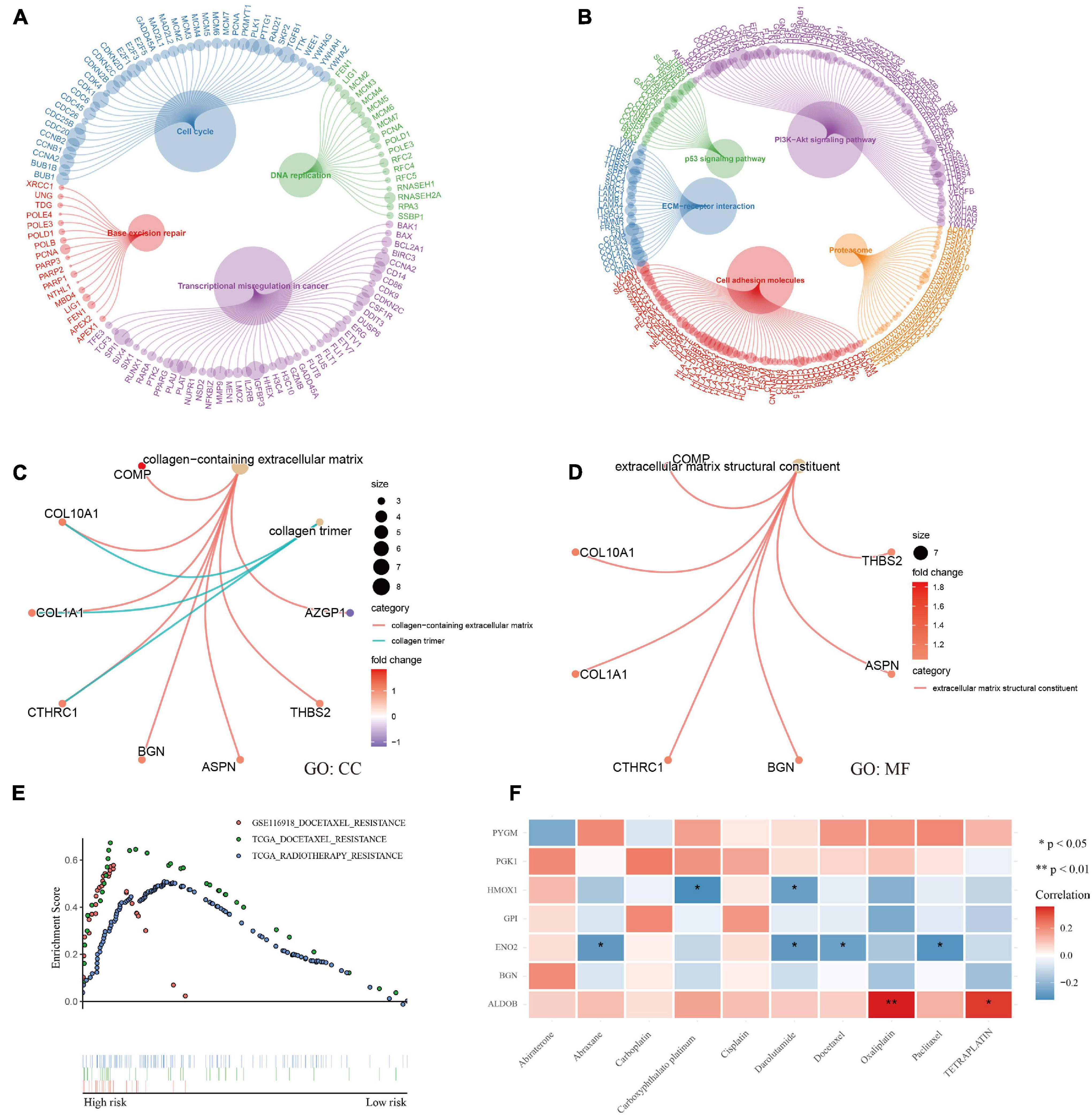 Frontiers | Identification Of A Hypoxia-Related Gene Signature For ...