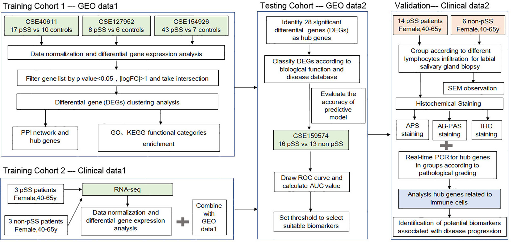 Frontiers | Integrated Bioinformatics and Validation Reveal Potential ...