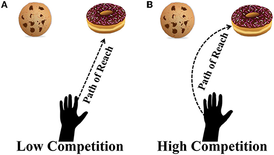 图2 -低竞争和高竞争动作的区别。