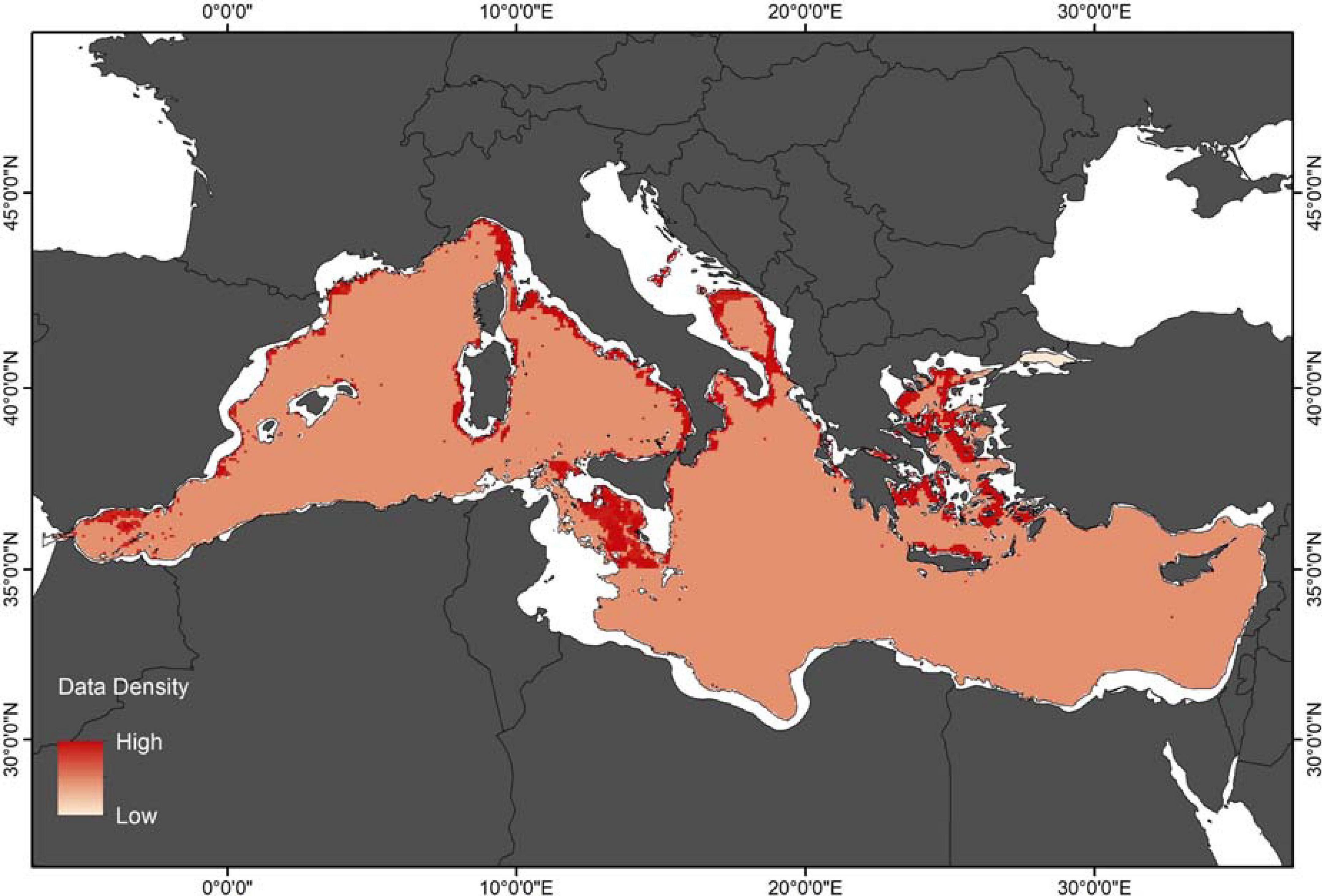 Marine Life & Species of the Mediterranean Sea 