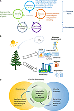 Frontiers | Circular Bioeconomy Concepts—A Perspective | Sustainability