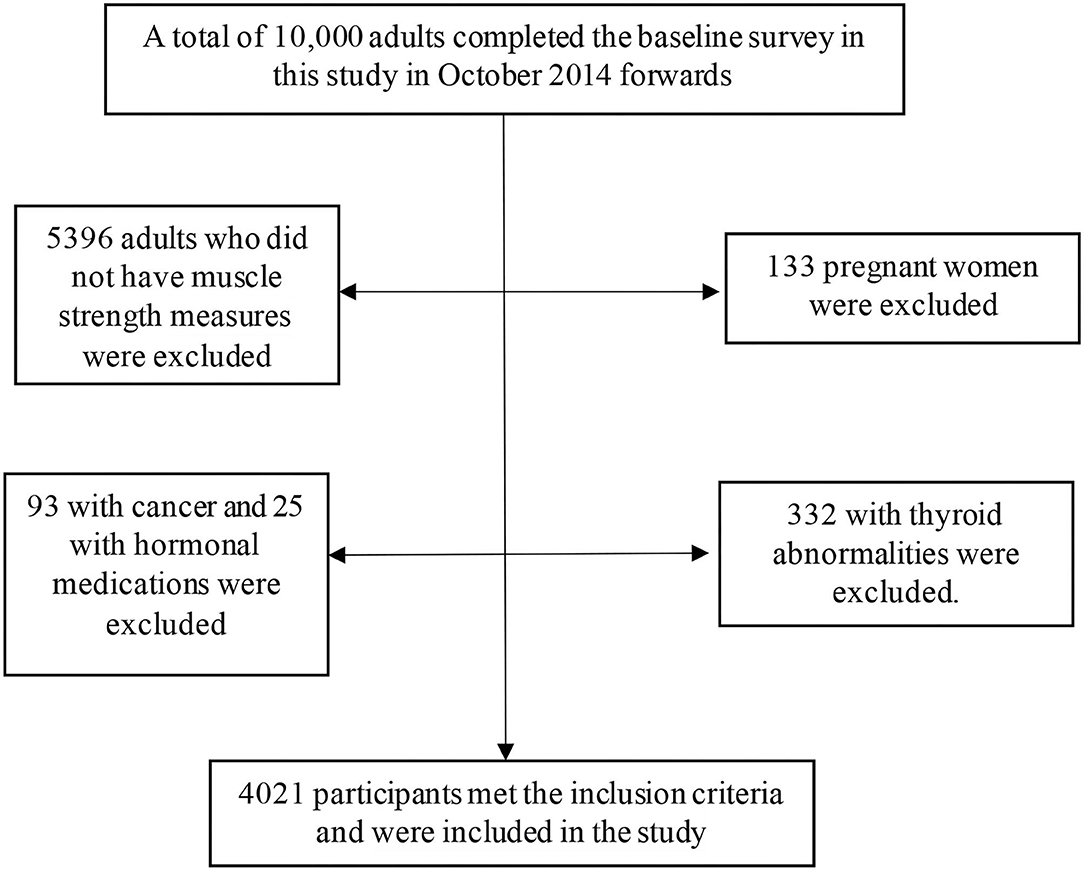 Higher systemic immune-inflammation index is associated with sarcopenia in  individuals aged 18–59 years: a population-based study