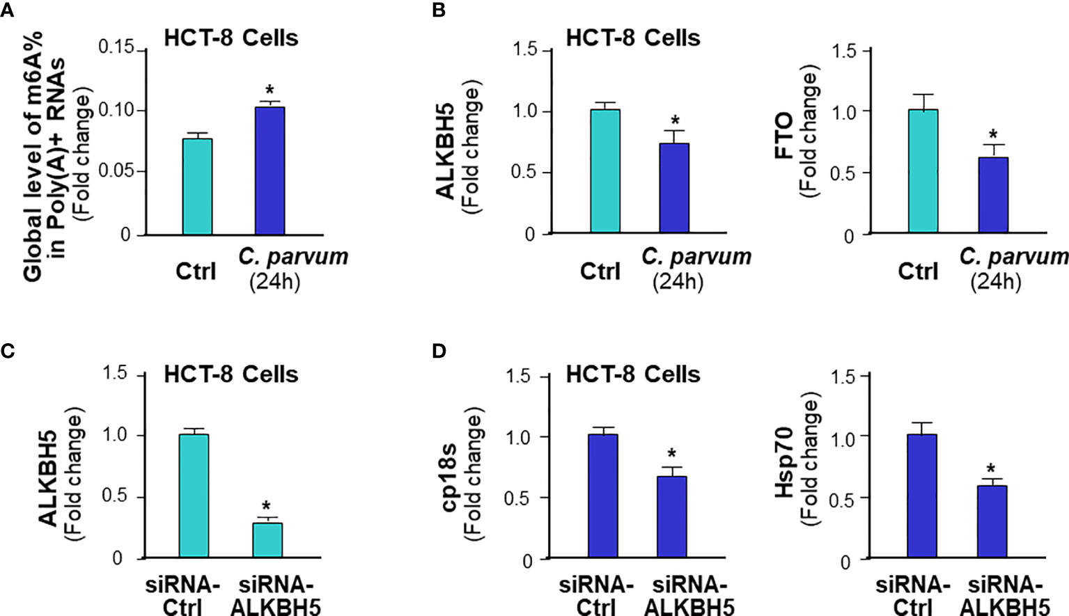 Frontiers | m6A mRNA Methylation Regulates Epithelial Innate 