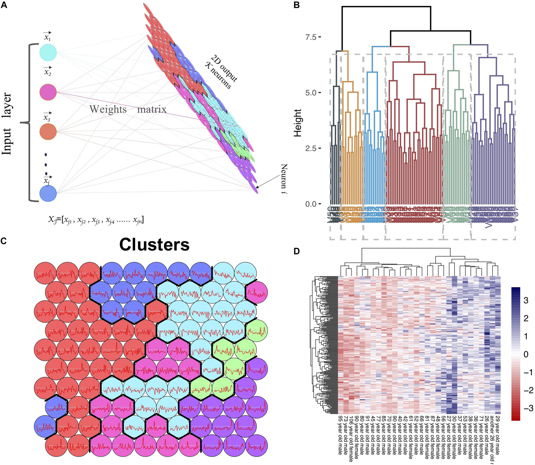 GWENA: gene co-expression networks analysis and extended modules  characterization in a single Bioconductor package, BMC Bioinformatics