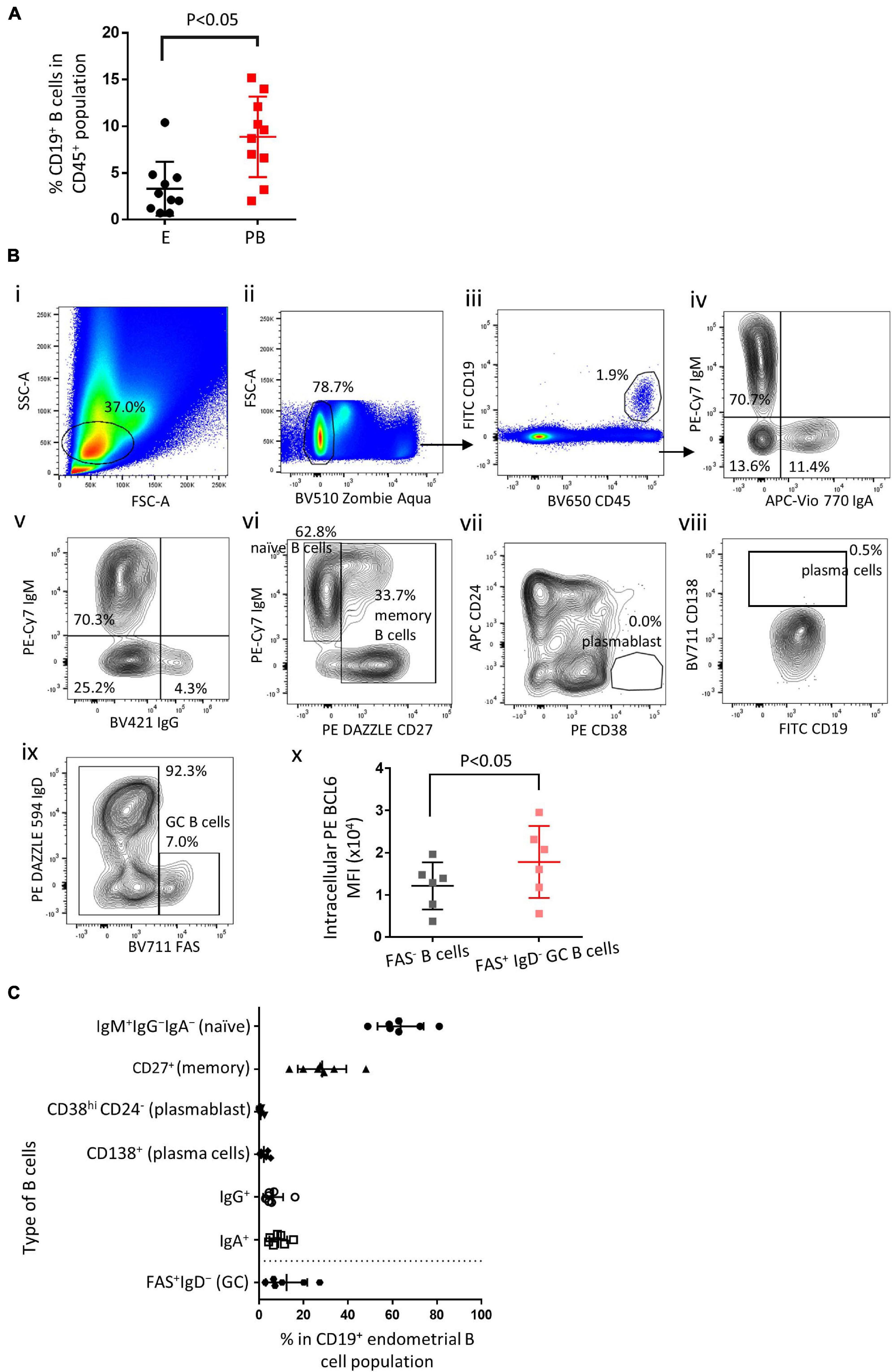 Use of B-Cell–Depleting Therapy in Women of Childbearing Potential