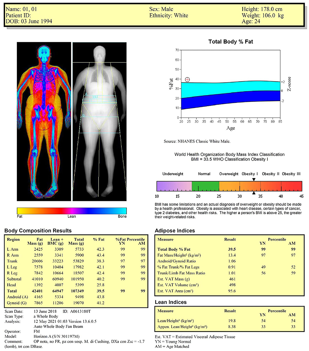 GE Healthcare body composition report sample