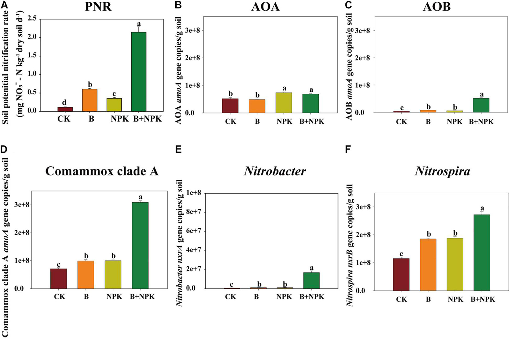 Frontiers Ammonia And Nitrite Oxidizing Bacteria Are Dominant In Nitrification Of Maize 3553