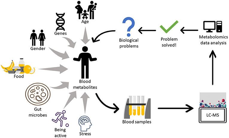 Figure 2 - Metabolomics can be used to answer questions about what people eat and how the body manages metabolites.