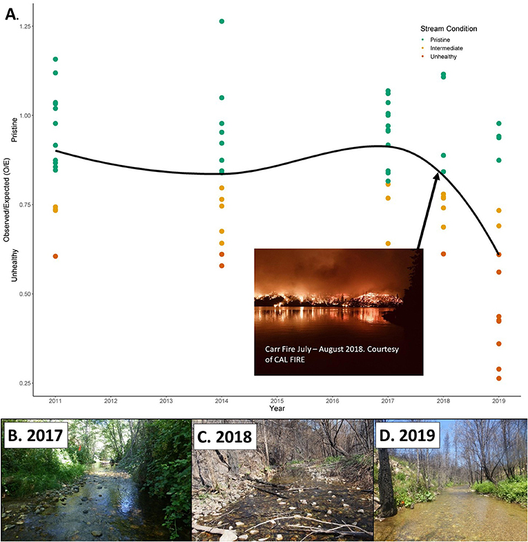 图3 -观察到的与预期的指数得分显示，在2018年野火之后，威士忌镇国家娱乐区(美国加利福尼亚州)的溪流水质大幅下降，但直到2019年才有所下降。
