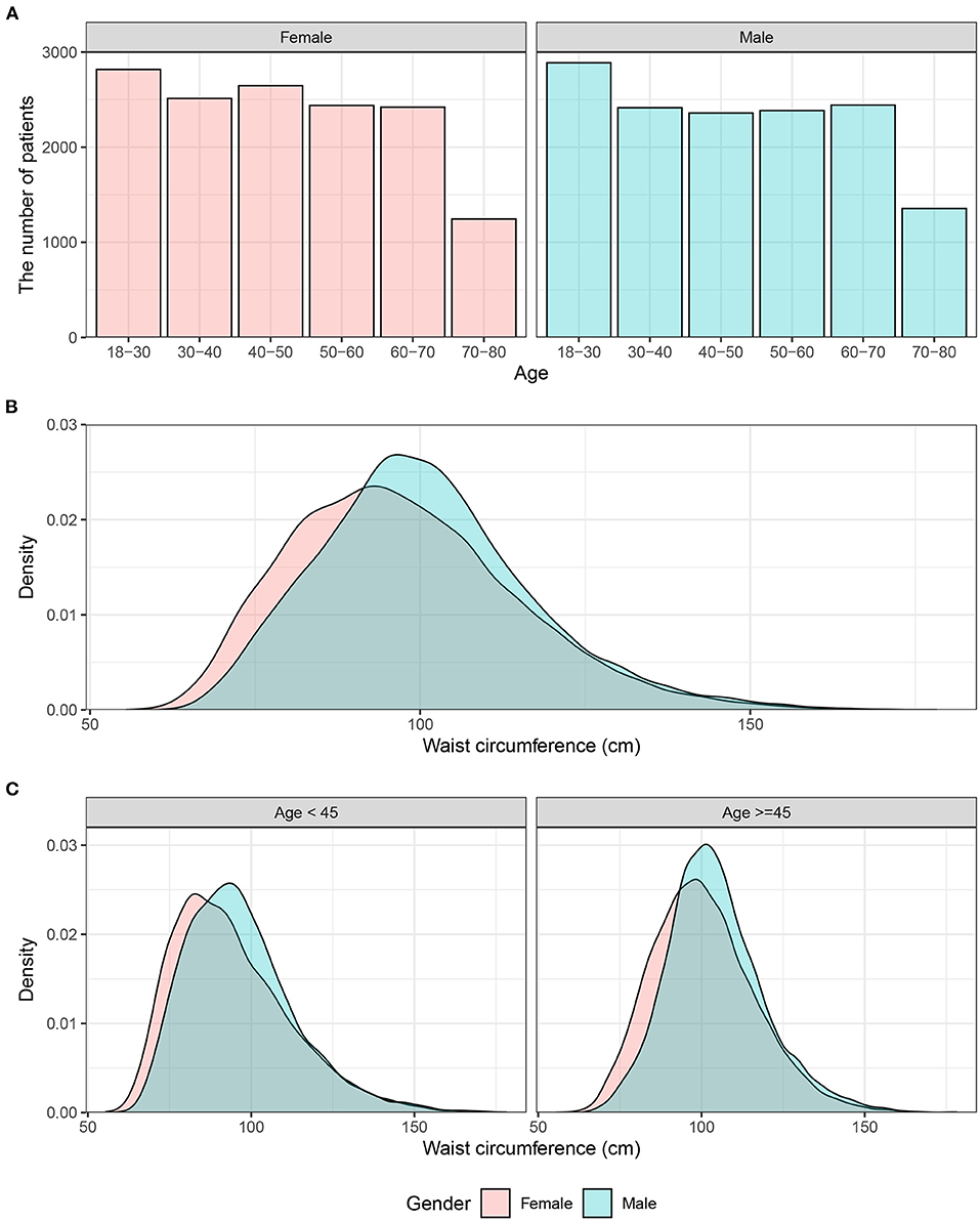 Frontiers | Association Between Waist Circumference and the Prevalence ...