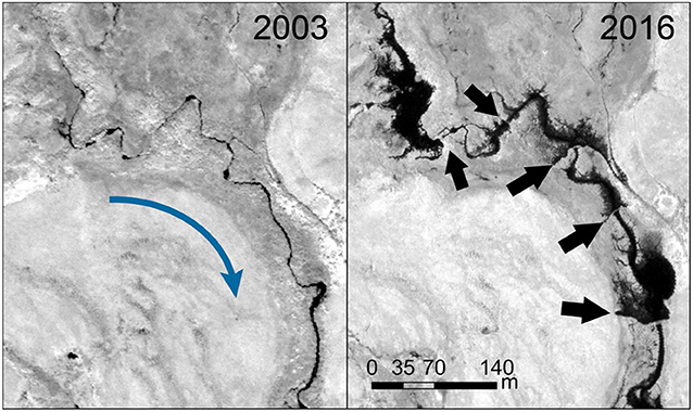 图2 -卫星图片显示海狸对阿拉斯加西北部一条北极溪流的影响