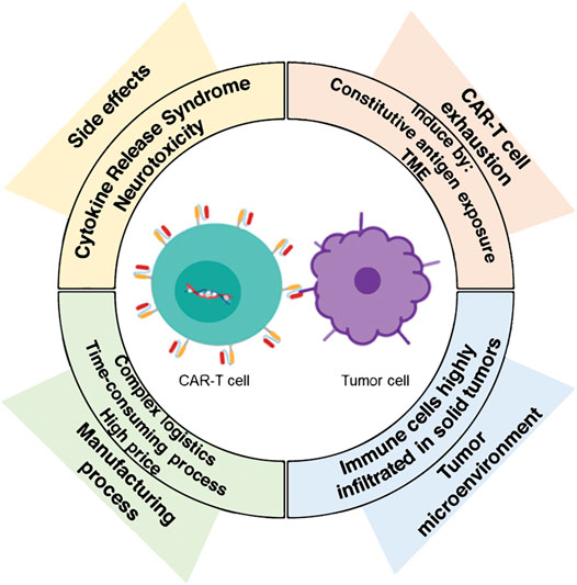 Frontiers  Chimeric Antigen Receptor-T Cells: A Pharmaceutical Scope