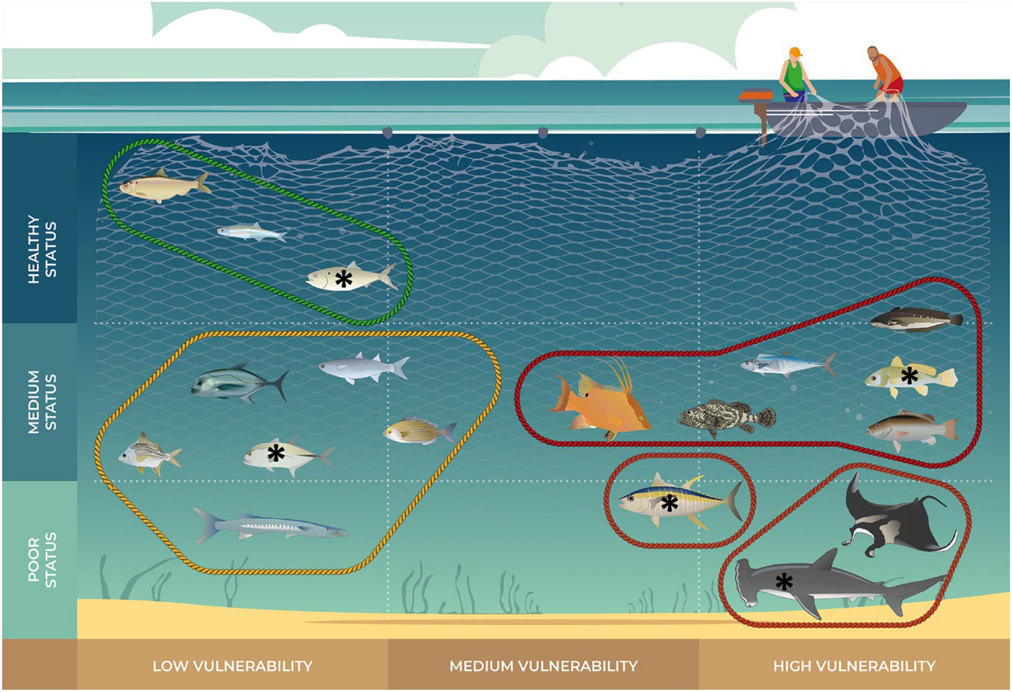Identifying fisheries operations in tropical multispecies