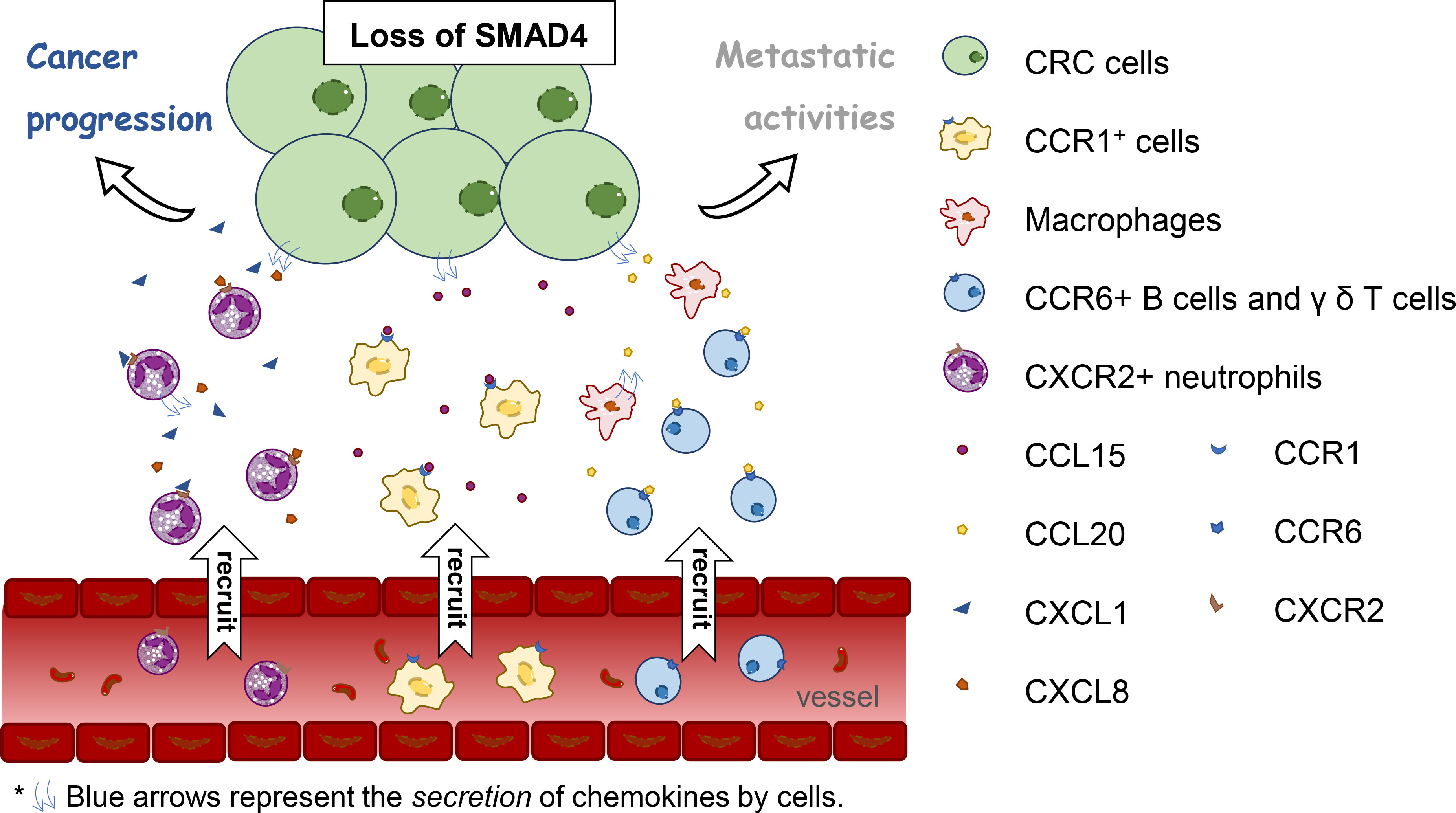 Frontiers | Chemokines in progression, chemoresistance, diagnosis 