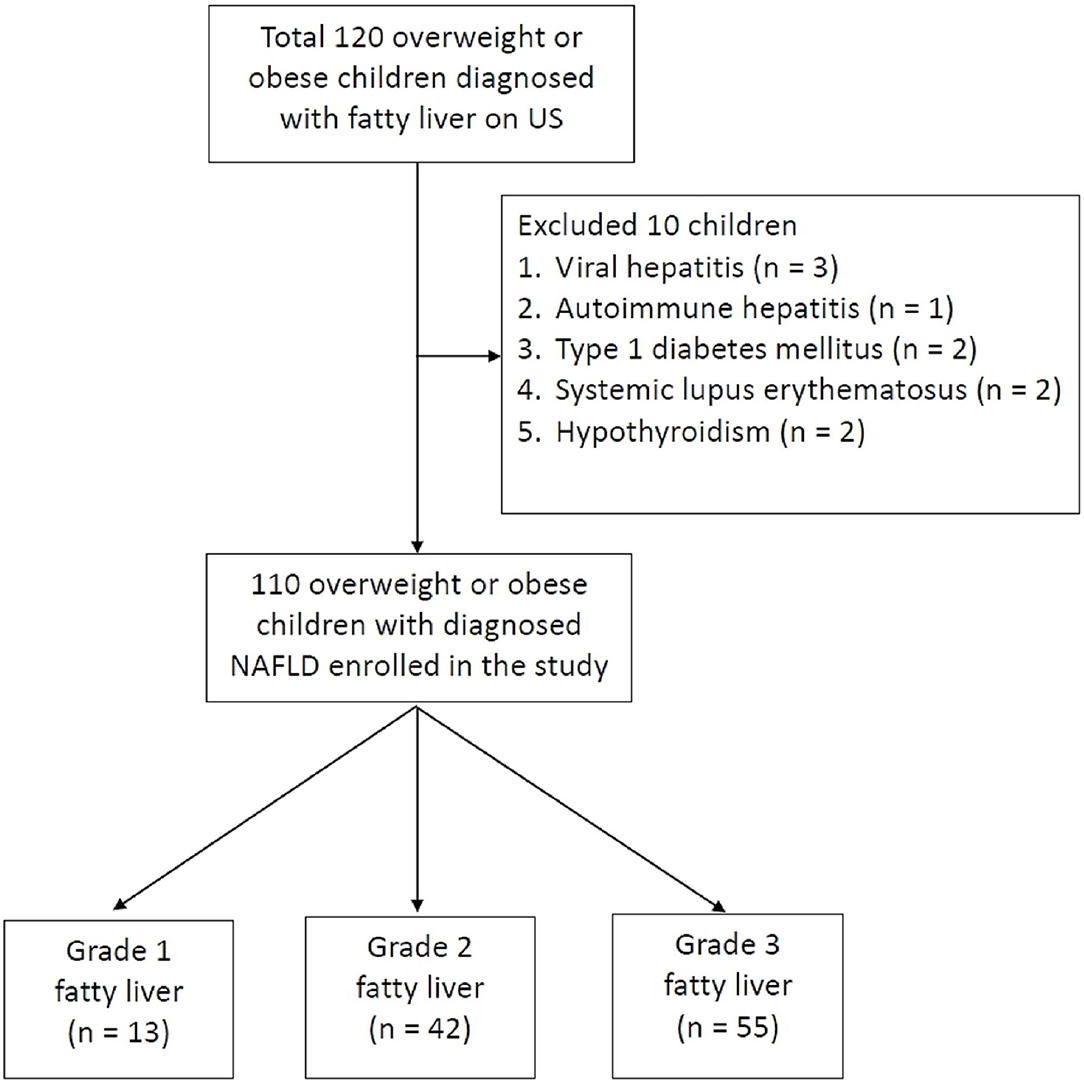 Muscle Mass Is Linked to Liver Disease Severity in Pediatric Nonalcoholic  Fatty Liver Disease - The Journal of Pediatrics