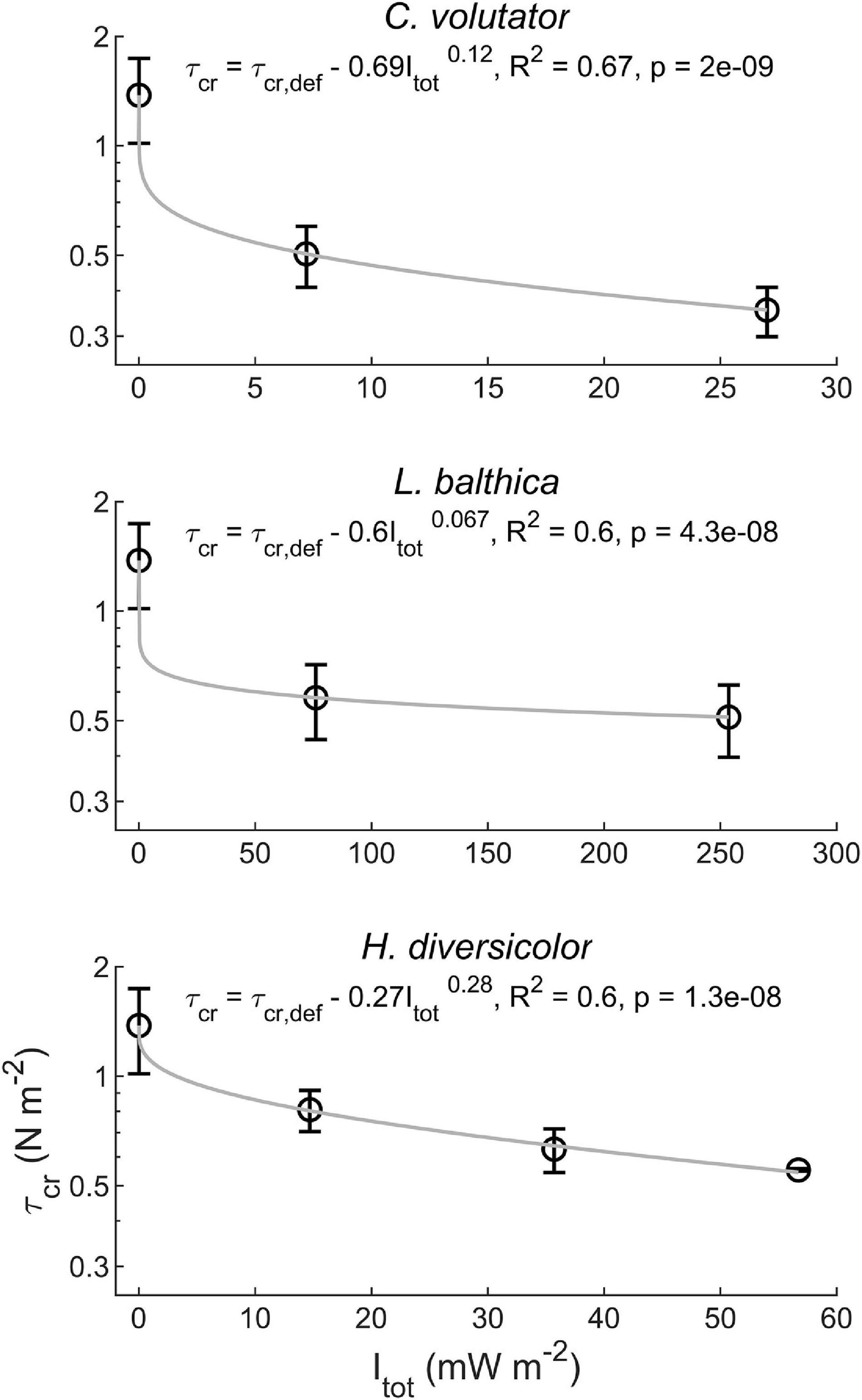 Frontiers  Sediment Bulk Density Effects on Benthic Macrofauna Burrowing  and Bioturbation Behavior