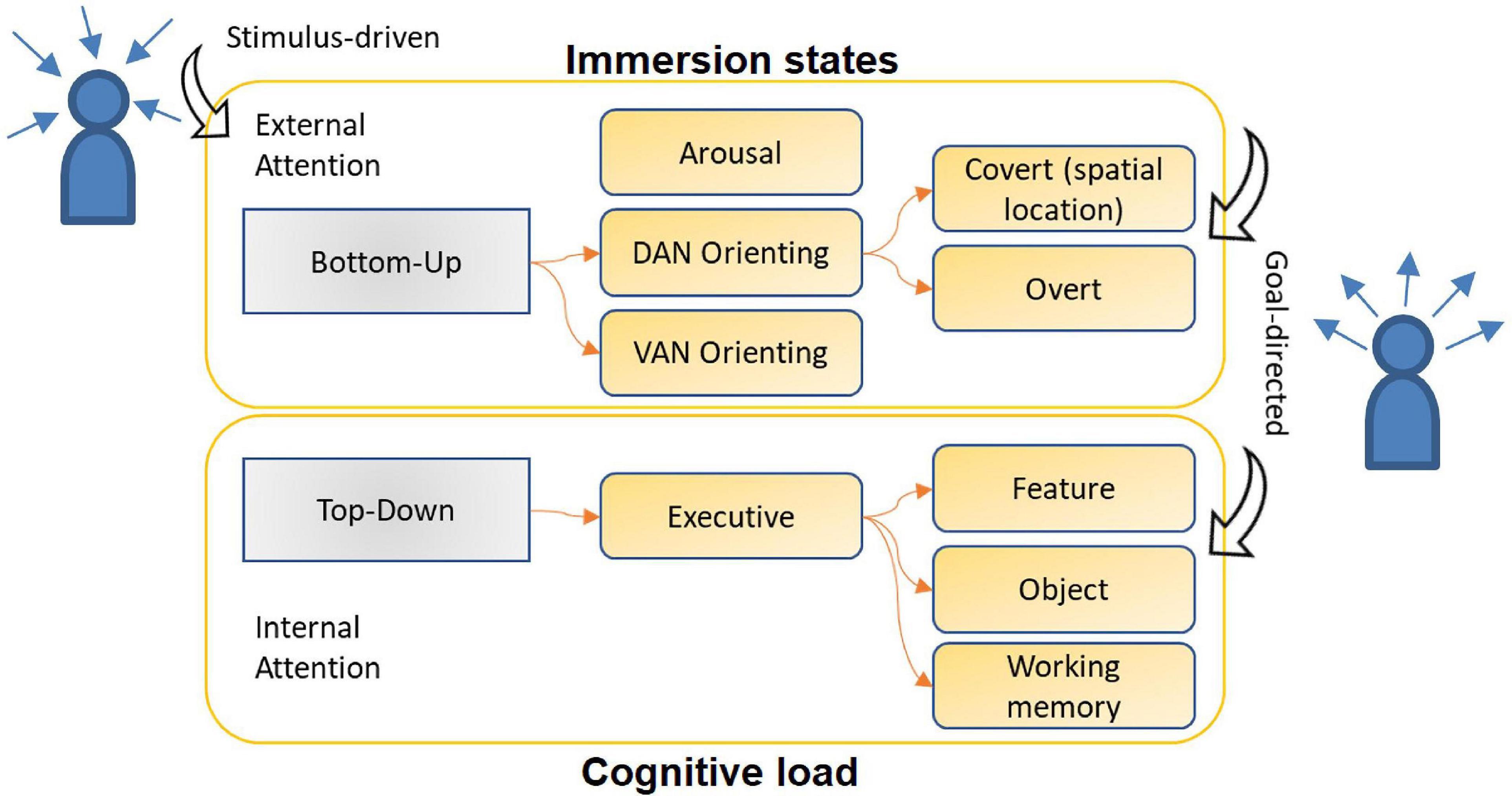 Frontiers Attention Detection In Virtual Environments Using EEG 