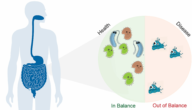 Through A Crystal Ball Using Bacterial Signatures To Predict   Figure 1 