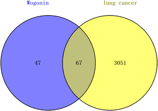 Frontiers | Establishment of a Lung Cancer Discriminative Model Based ...