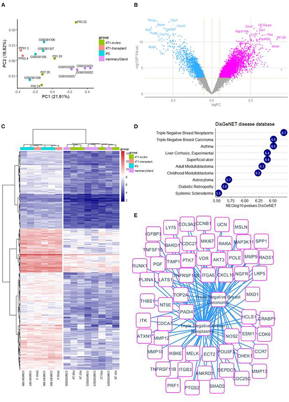 Frontiers Evidence Of Antitumor And Antimetastatic Potential Of Induced Pluripotent Stem Cell Based Vaccines In Cancer Immunotherapy