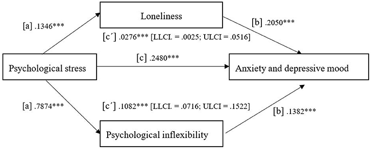 Frontiers  Predictors of well-being, future anxiety, and multiple