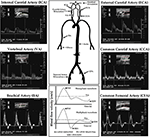 Frontiers | Sex- and Age-Related Physiological Profiles for Brachial ...