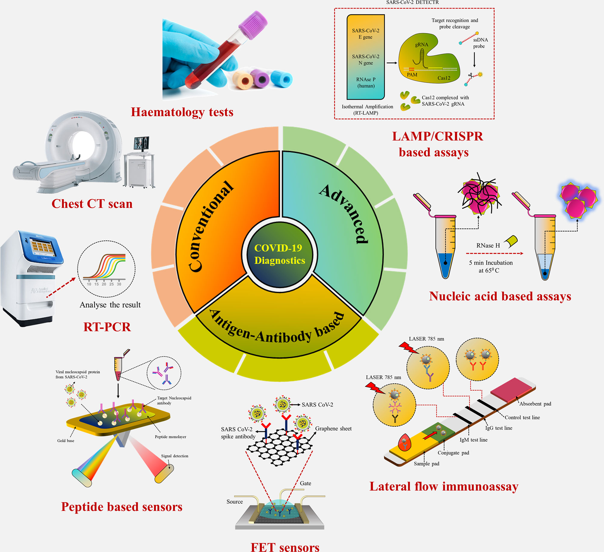 Frontiers A Recent Update On Advanced Molecular Diagnostic Techniques 