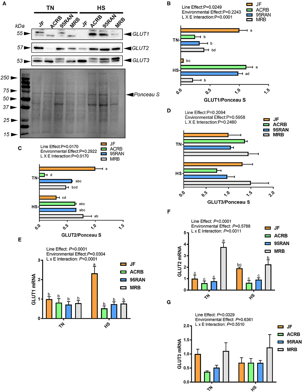 Frontiers | Effects of Cyclic Chronic Heat Stress on the Expression of ...