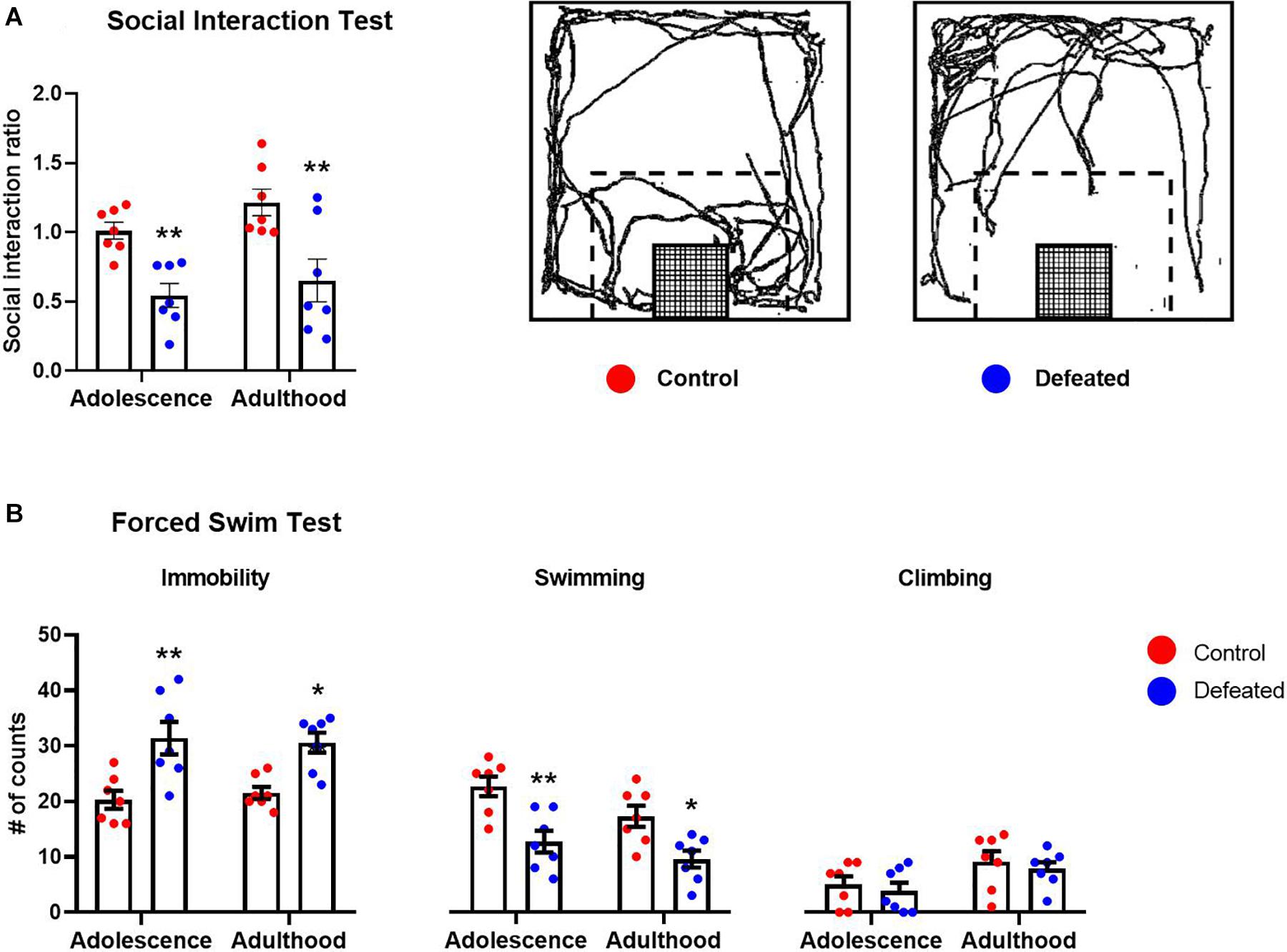 Two Way Anova For Mice Behavior Expirement Graphpad Prism 6 Seobygsseo