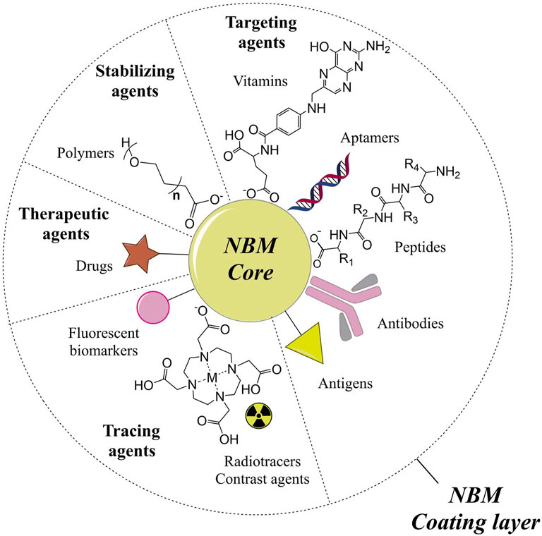 Conjugated Nanoparticles for Solid Tumor Theranostics: Unraveling