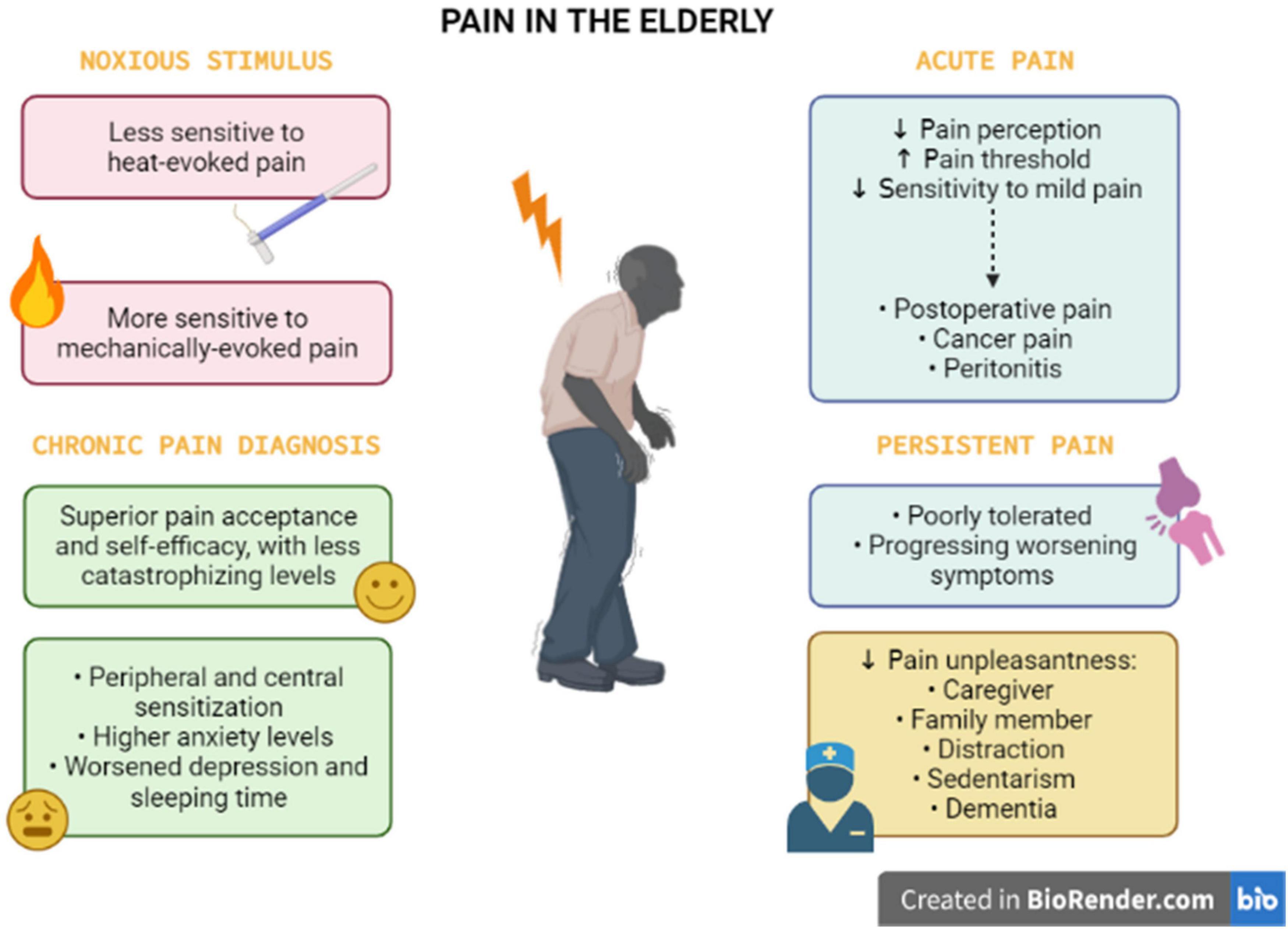 Frontiers Chronic Pain In The Elderly Mechanisms And Perspectives