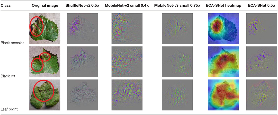 Frontiers | Fine-Grained Grape Leaf Diseases Recognition Method Based ...