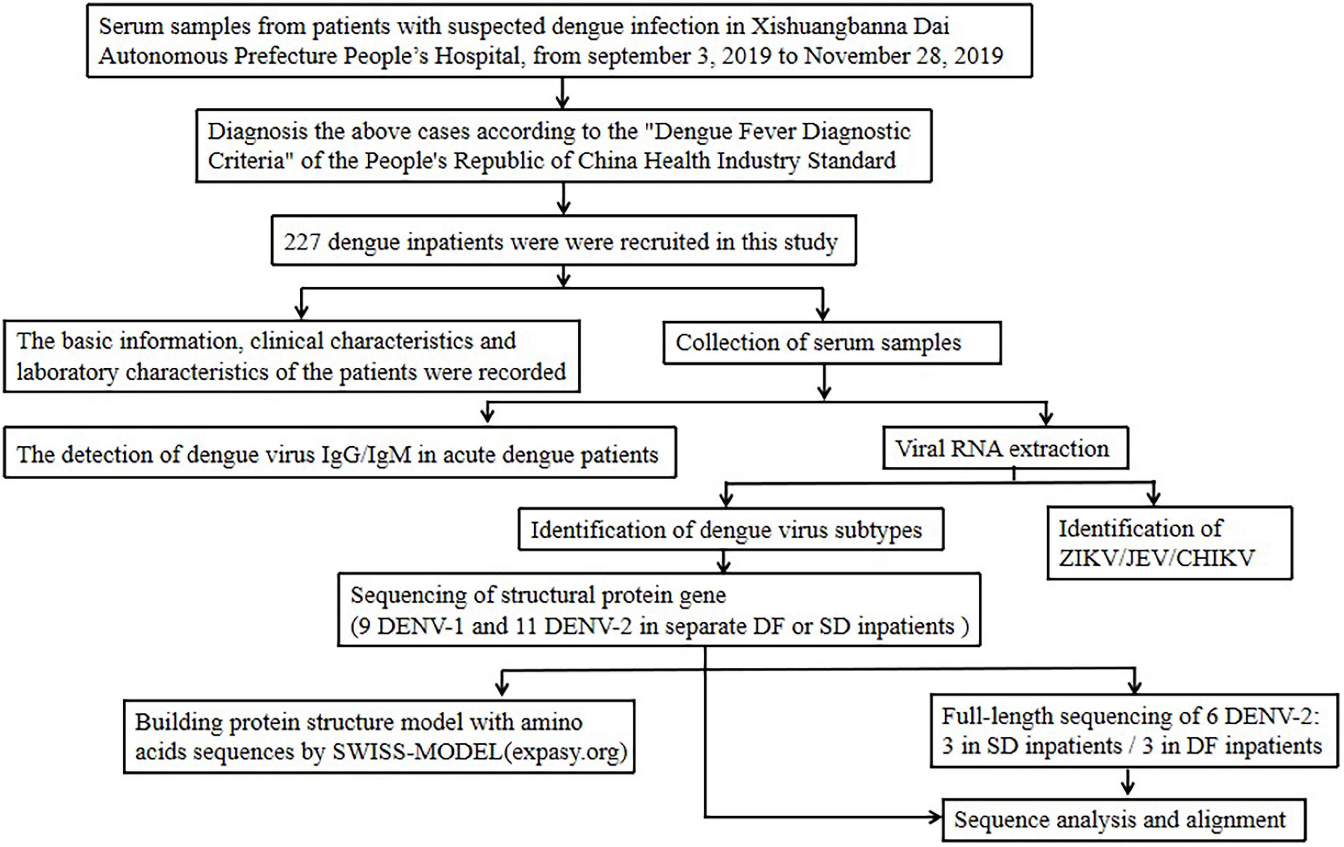 case study on dengue fever