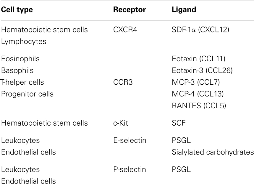 The expression of stem cell factor and c‐kit receptor in human