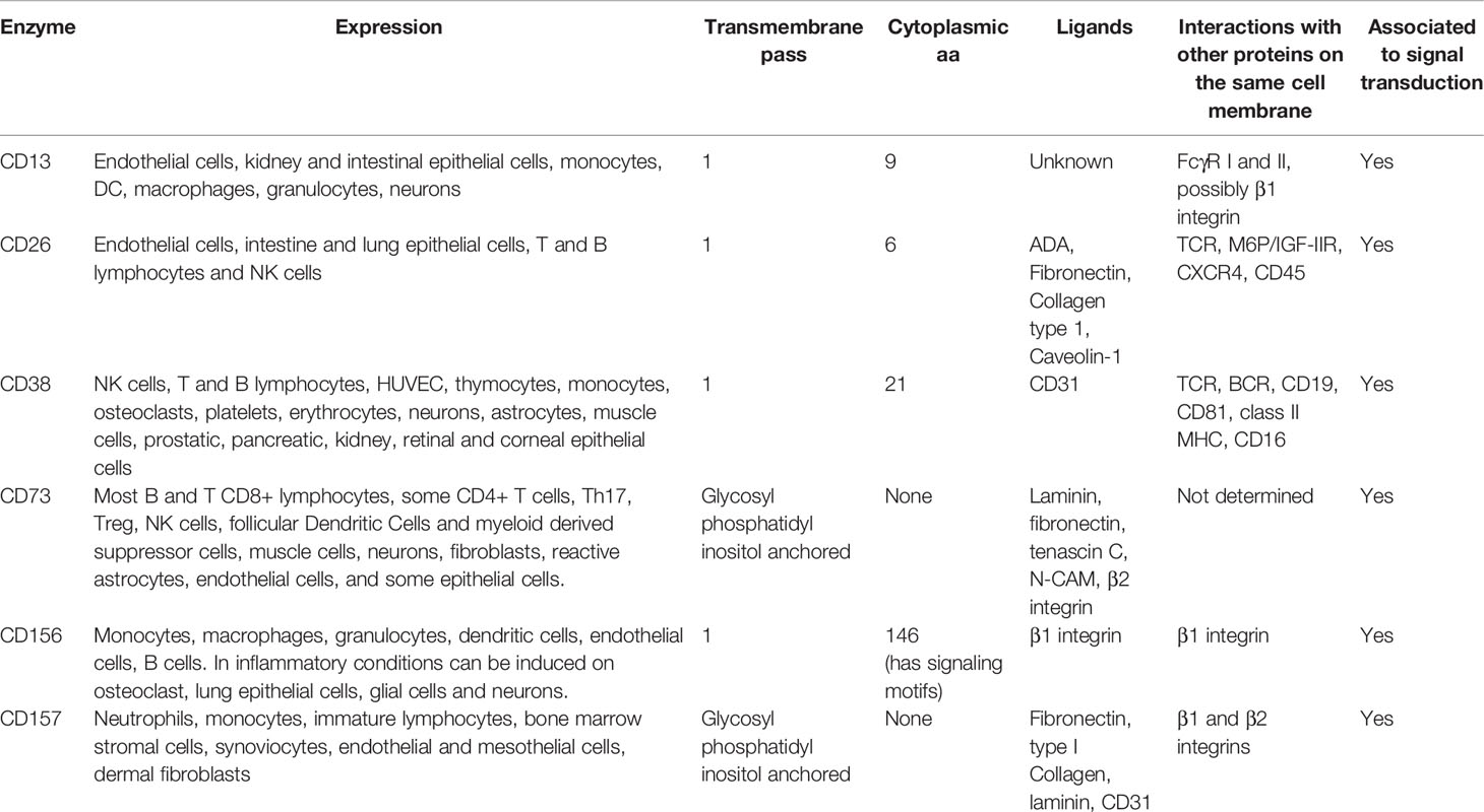 Frontiers | Leukocyte Membrane Enzymes Play the Cell Adhesion Game