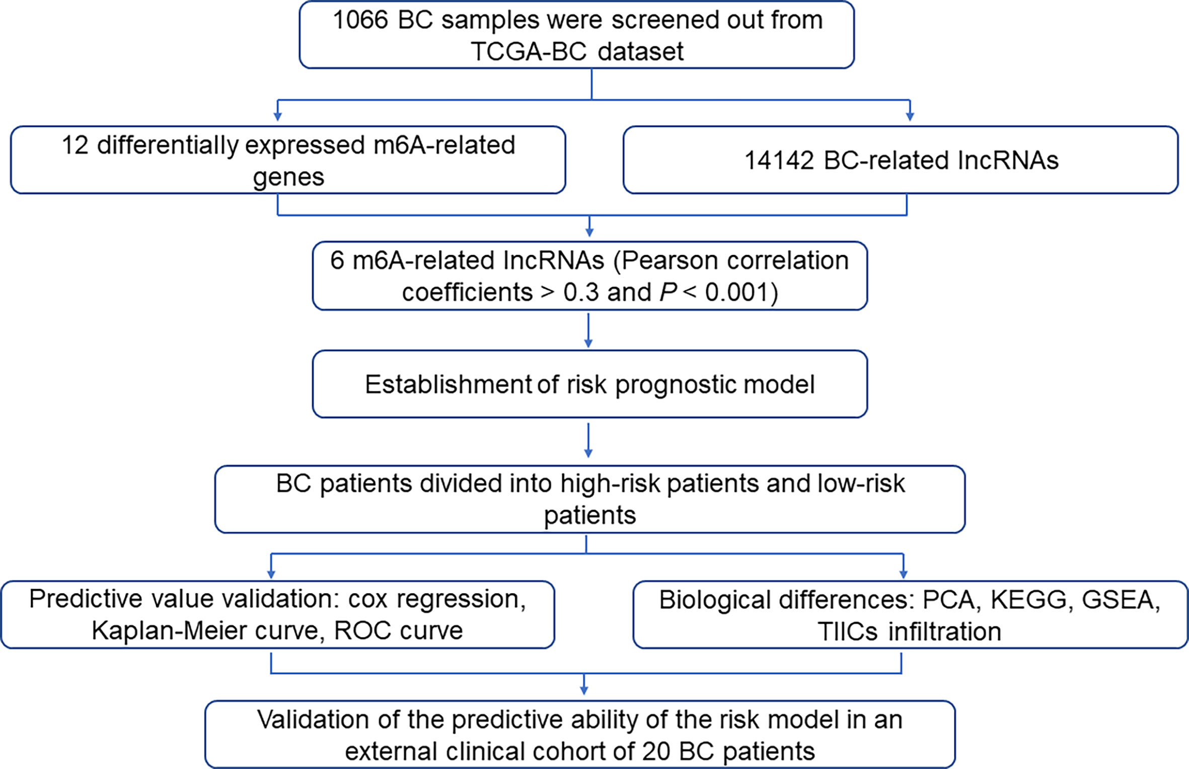 Frontiers | Identification and Validation of m6A-Related lncRNA ...