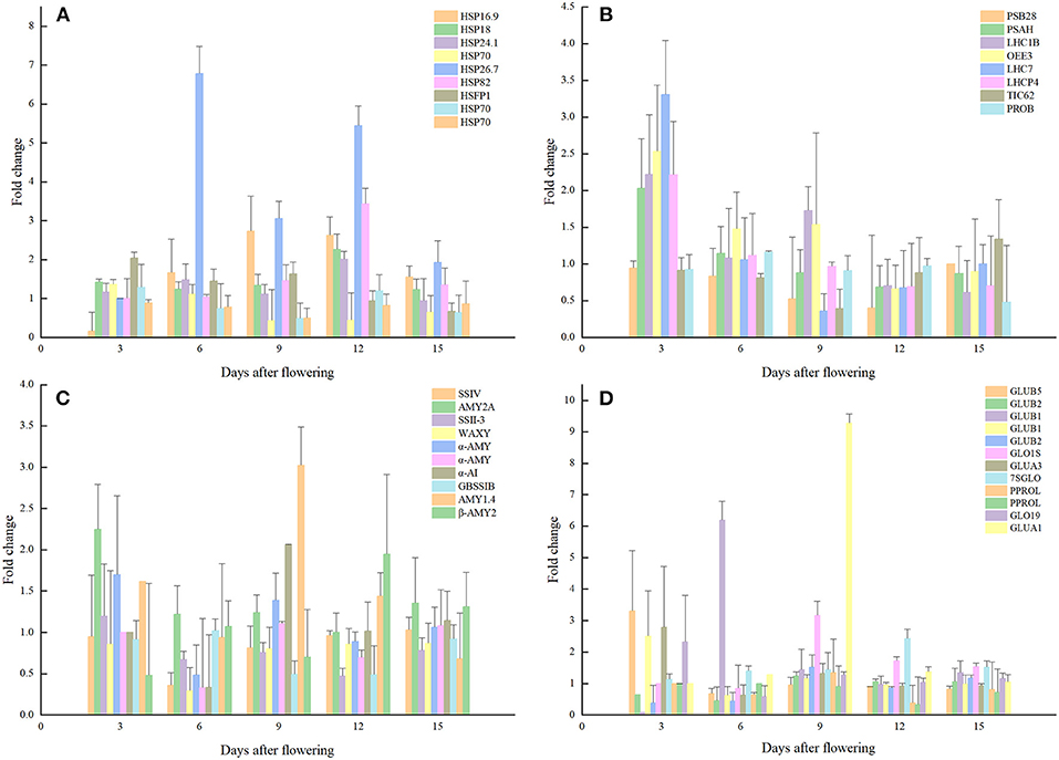 Frontiers | Effects Of High Temperature On Rice Grain Development And ...