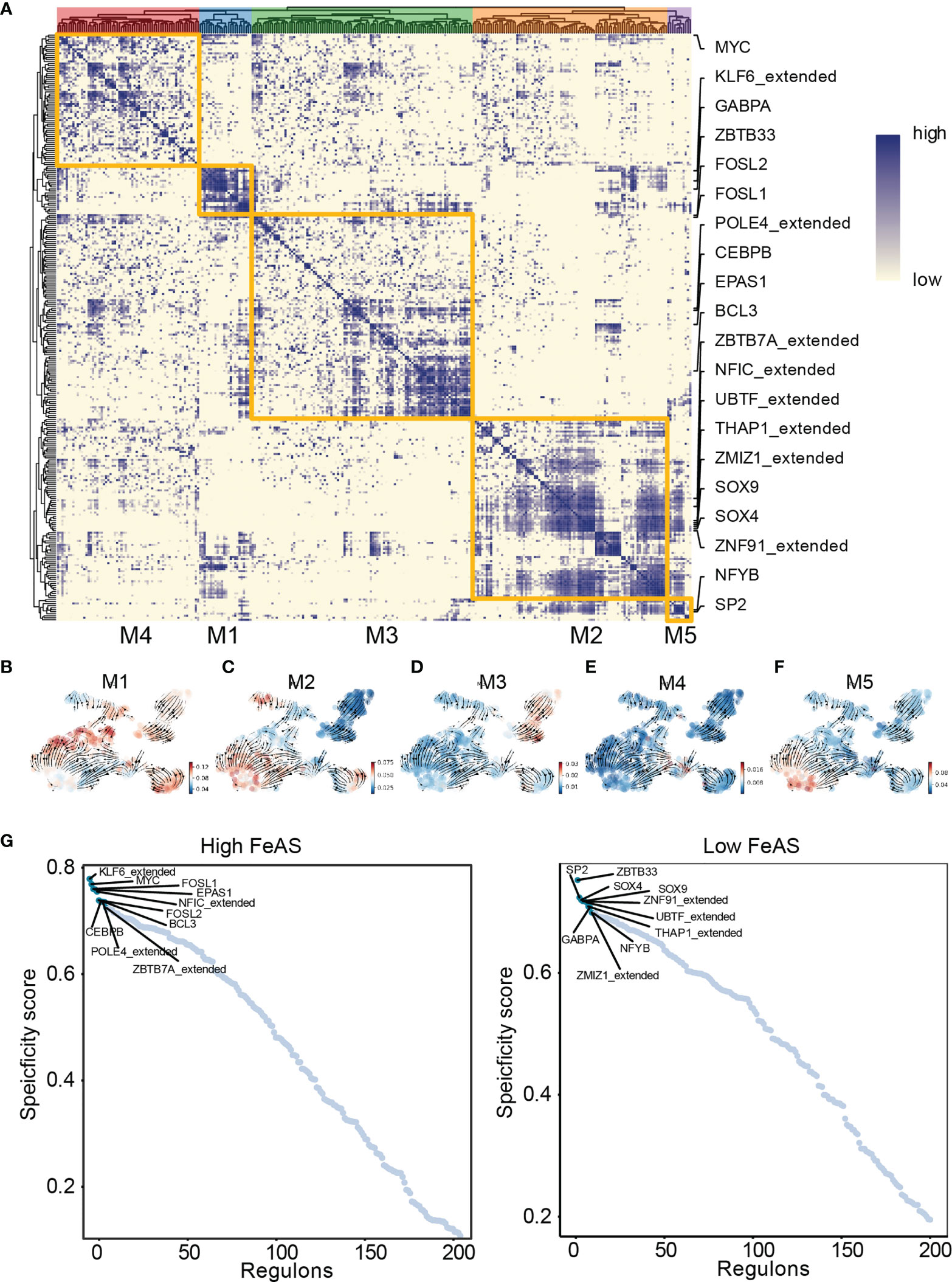 Frontiers | Ferroptosis Activation Scoring Model Assists in ...