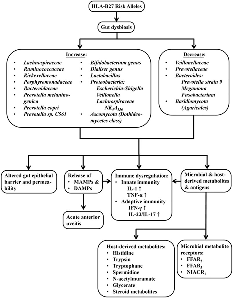 Frontiers | The Potential Role of Genetics, Environmental Factors, and ...