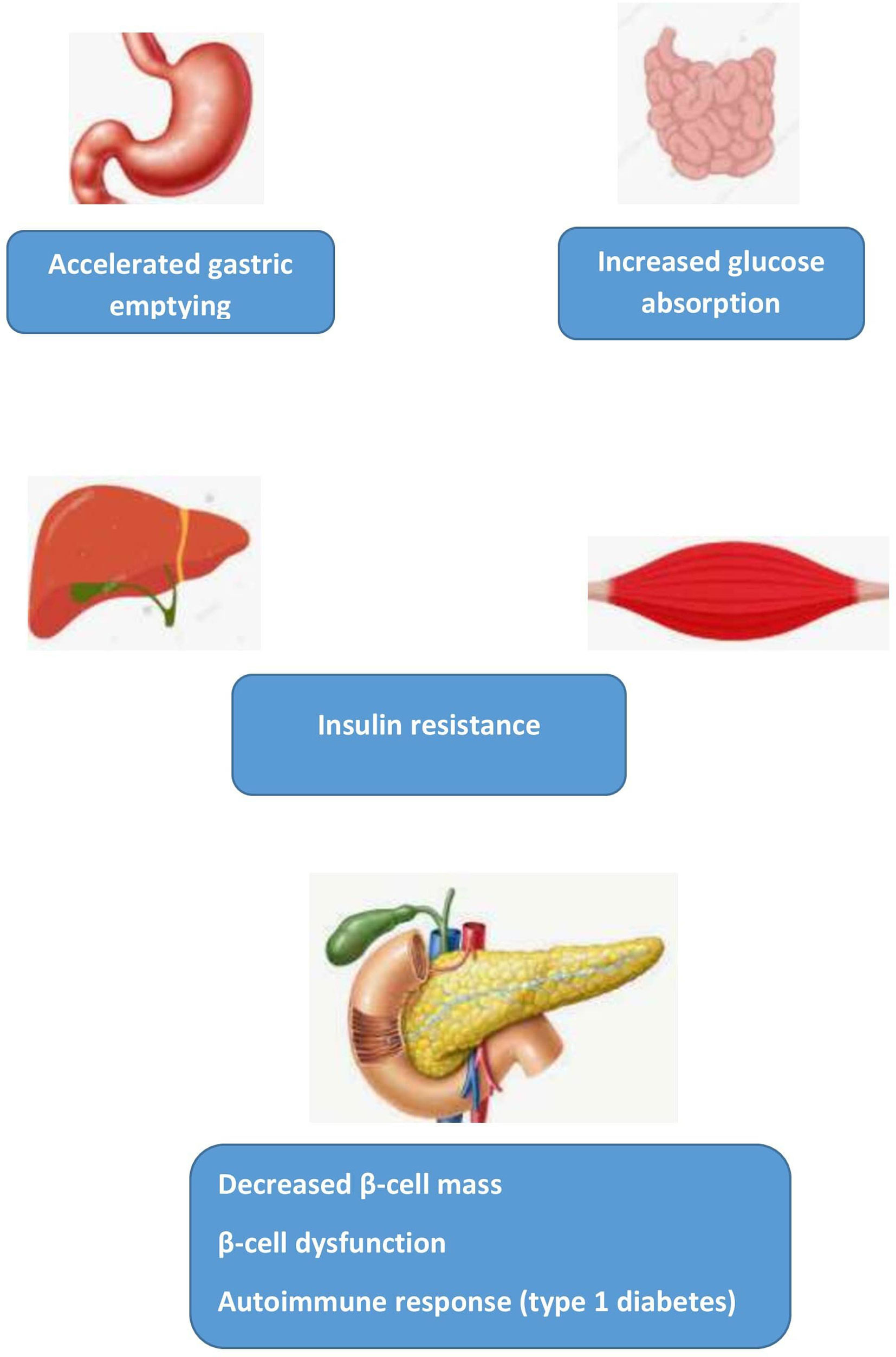 Frontiers The 1 Hour Plasma Glucose Common Link Across The Glycemic 