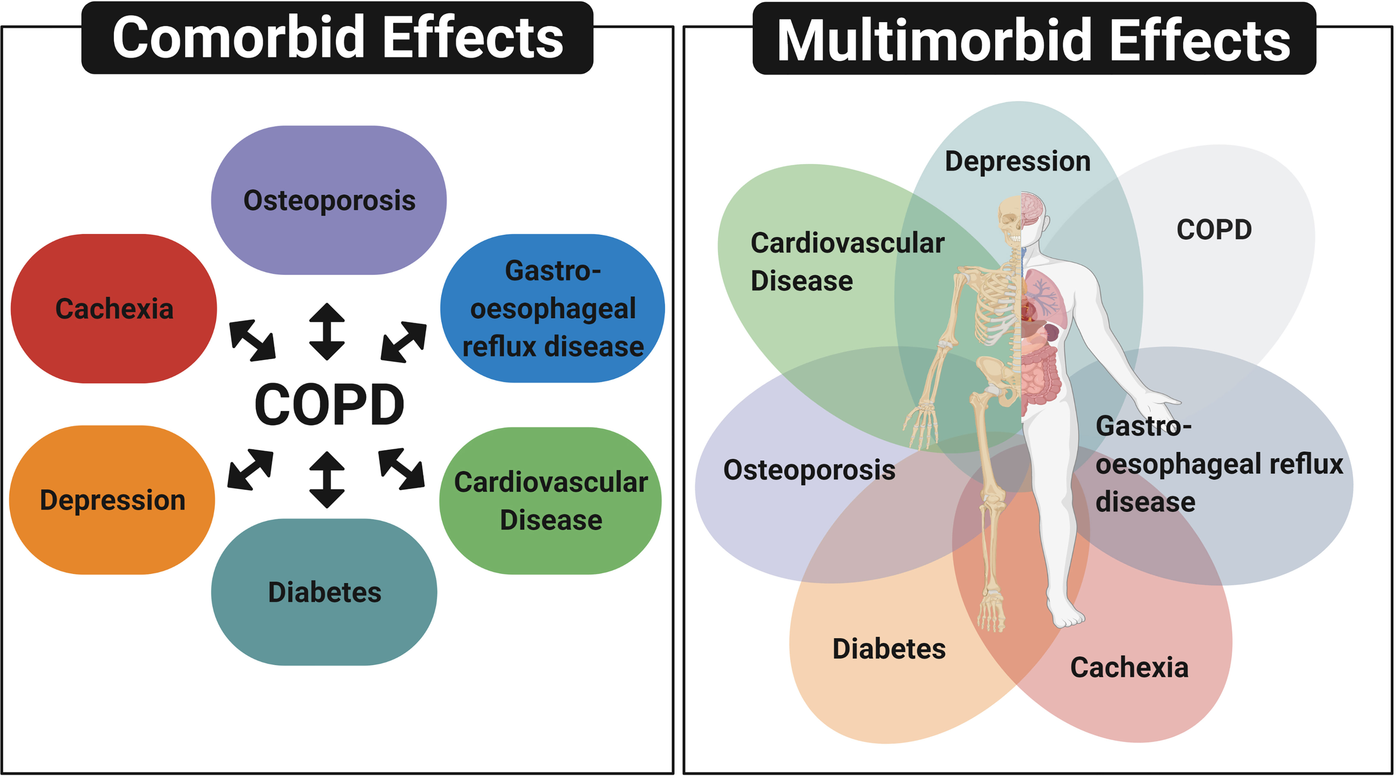 Frontiers The Role Of Extracellular Vesicles As A Shared Disease 